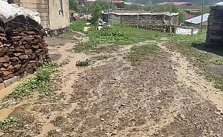 Taşlıçay'da iki köyde sel felaketi