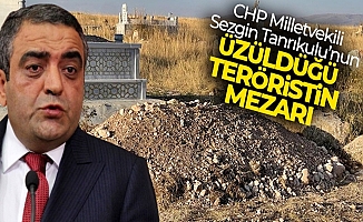 İşte CHP Milletvekili Sezgin Tanrıkulu'nun üzüldüğü teröristin mezarı