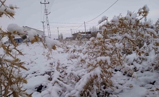 Diyadin'de kar yağışı başladı