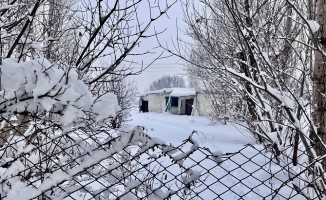 Ağrı'da kar yağışından dolayı 321 köy yolu ulaşıma kapandı