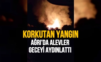 Ağrı’da alevler geceyi aydınlattı