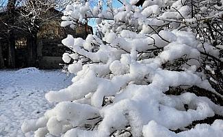 Ağrı’da 66 köy yolu kar nedeniyle ulaşıma kapandı