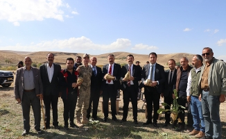 Tutak’ta Şeker Pancarı Hasadı Başladı: Bereketli Sezon Dileği