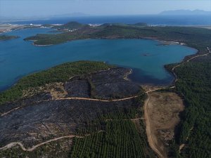 Bakan Eroğlu'ndan Sanatçı Haluk Levent'e Şarkı Sözü Daveti