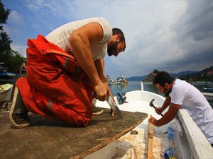 Yarın Gece Av Yasağı Kalkıyor
