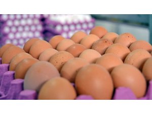 Gıda, Tarım Ve Hayvancılık Bakanı Fakıbaba: Türkiye'de Fipronilli Yumurta Tespit Edilmedi