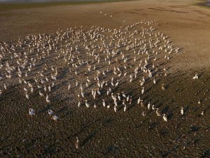 Gala Gölün'de Muhteşem Anlar