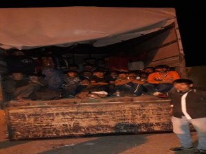 Ağrı'da Yasadışı Yolarlar Giren 93 Kaçak Yakalandı