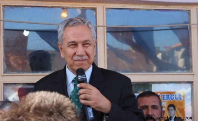 Başbakan Yardımcısı Bülent Arınç, Hamurda