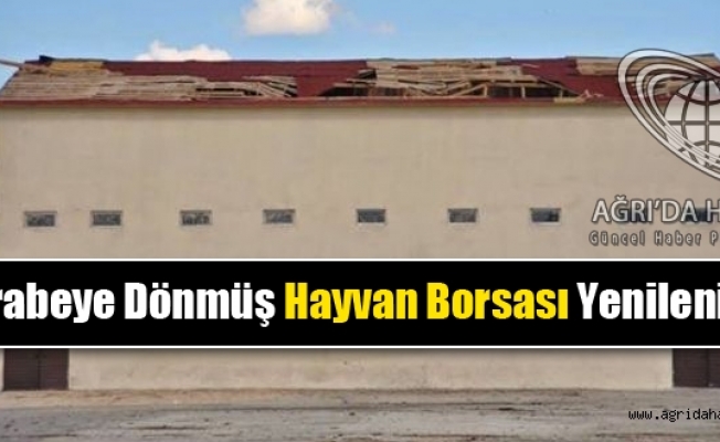 Harabeye dönüştürülen Hayvan Borsası Yenileniyor
