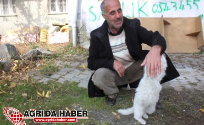 Ağrılı Vatandaş Kör Kedisi İçin Destek Bekliyor