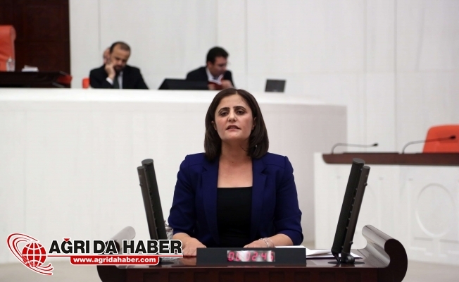 Ağrı Milletvekili Dirayet Taşdemir Fişleme Olayını Meclise Taşıdı