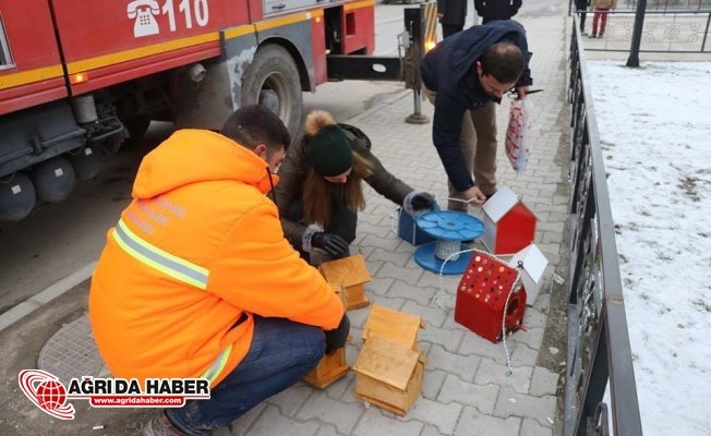 Soğuktan Korunmaları İçin Ağrıda #039;Kuş Evleri Yapıldı