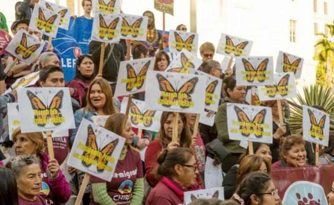 ABDde göçmenlerden Trump protestosu