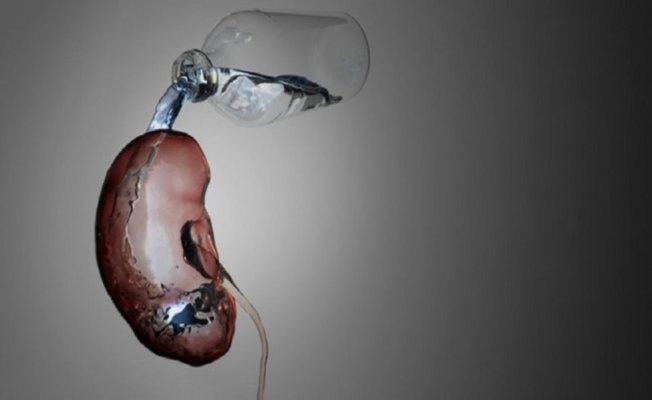 Bira içerek böbrek taşı düşürülür kanısı yanlışquot;