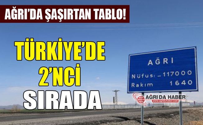 bosanma oranlarinda agri turkiye de 2