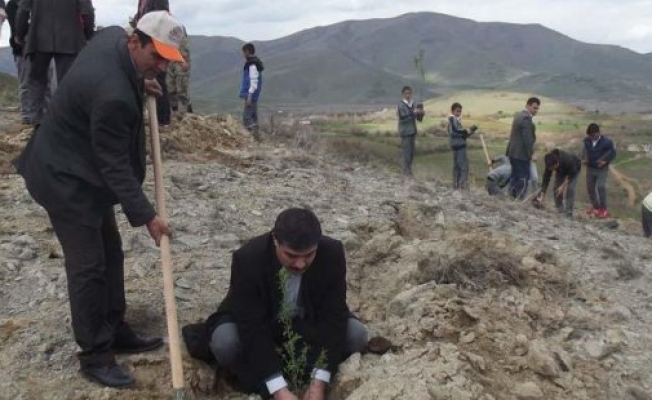 Sivricede 2 bin 500 badem fidanı dikildi