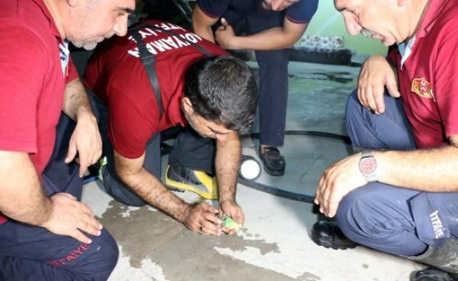 Muhabbet Kuşuna Suni Tenefüs