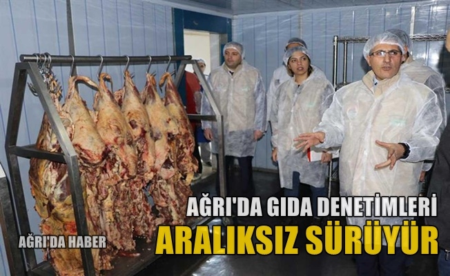 Ağrı#039;da 396 iş yerinde Gıda Denetimi