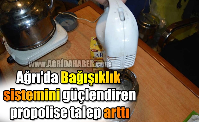 Ağrı#039;da Bağışıklık sistemini güçlendiren propolise talep arttı