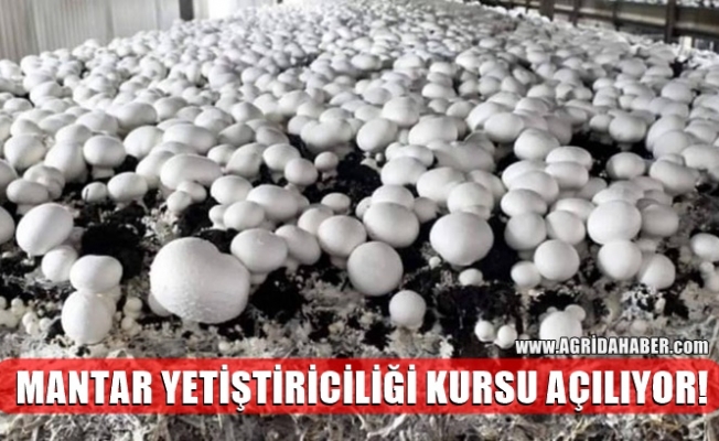 Agri Da Mantar Yetistiriciligi Kursu Aciliyor