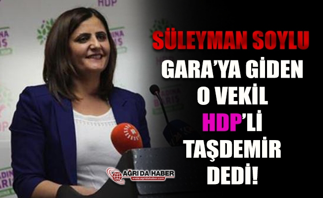 Gara#39;ya giden HDP Ağrı Milletvekili Dirayet Taşdemir Çıktı!