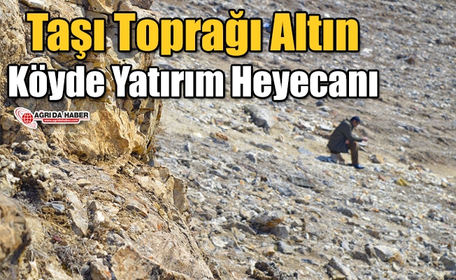Taşı Toprağı Altın Köyde Yatırım Heyecanı