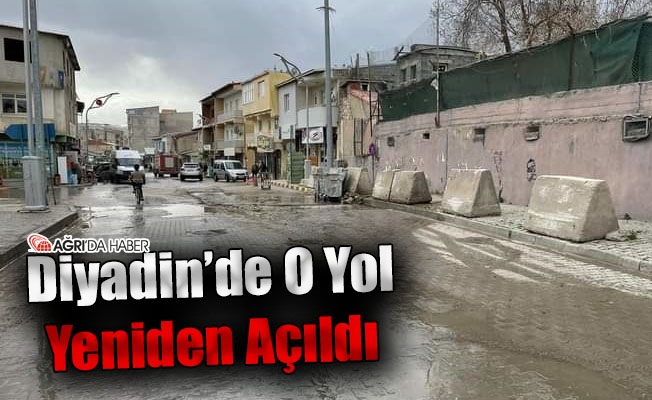 Diyadin#039;de Kapalı Olan O Yol Yeniden Açıldı