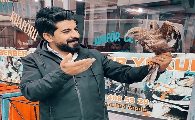 Diyadin#039;de yaralı şahin doğaya salındı