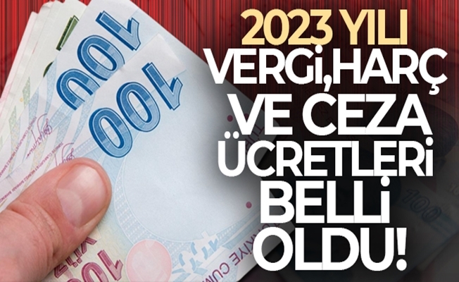 Ve beklenen haber geldi: 2023 yılı vergi, harç ve ceza ücretleri belli oldu!