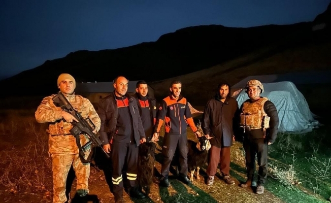 Kayalıklarda mahsur kalan hayvanlar kurtarıldı