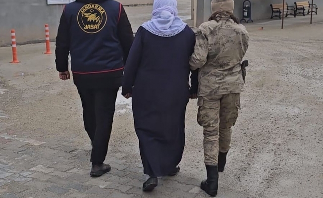 Ağrıda firari olan 9 kişi jandarma tarafından yakalandı