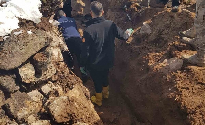 Ağrıda hayvanlar çöken çatının altında kaldı