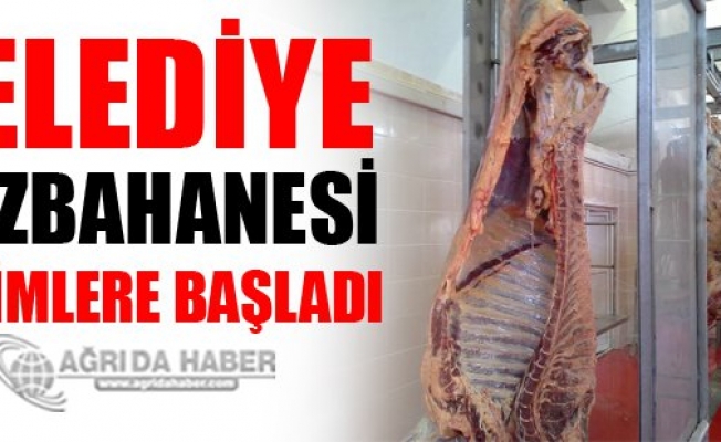 Ağrı Belediyesi Mazbahanası Kesime Başladı