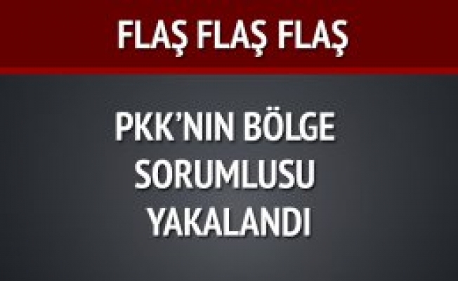 Flaş..Flaş...PKKnın Bölge Sorumlusu Yakalandı