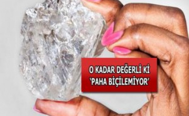 Dünyanın En büyük elması bulundu