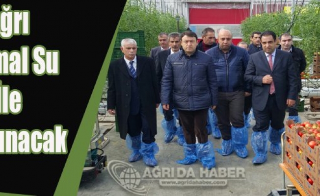 Valisi Musa Işın Ağrı Termik Su İle Geçinecek