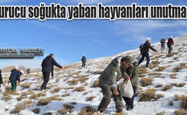 Dondurucu soğukta yaban hayvanları unutmadılar