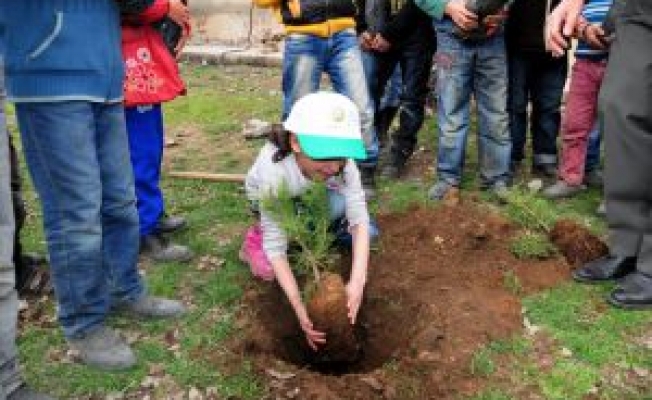 Bitlis Hizan Orman Şefliği Fidan Dağıttı
