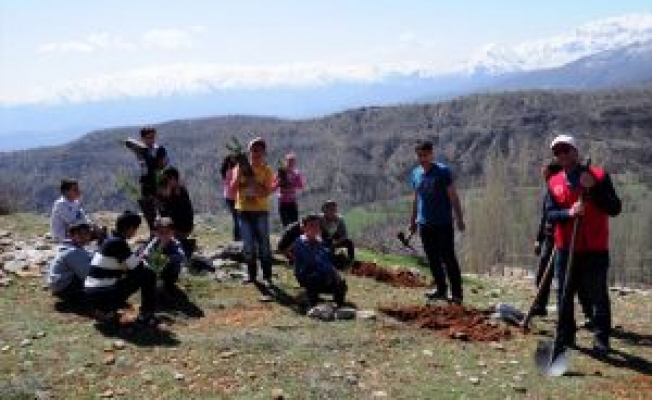 Hizanda Fidan Dikimi