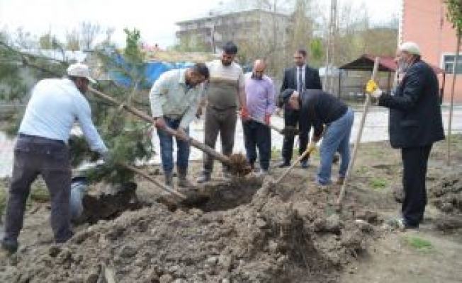 Eleşkirt Kız Kuran Kursu Bahçesine Fidan Dikimi