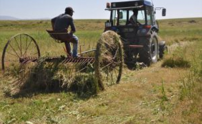 Muşta Ot Hasadı Erken Başladı