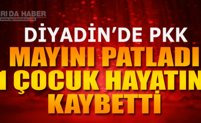 Ağrıda Teröristlerin Yerleştirdiği Mayın Patladı: 14 Yaşında Bir çocuk Öldü