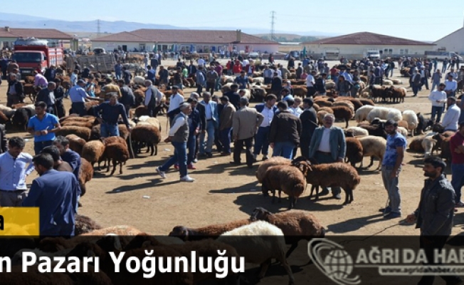 Ağrı Kurban Pazarında Bayram Öncesi Yoğunluk Yüksek