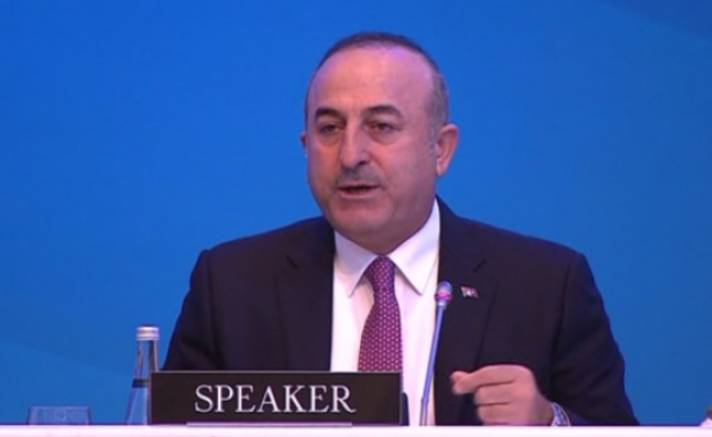 Dışişleri Bakanı Mevlüt Çavuşoğlu NATO Pa 62. Genel Kurulu