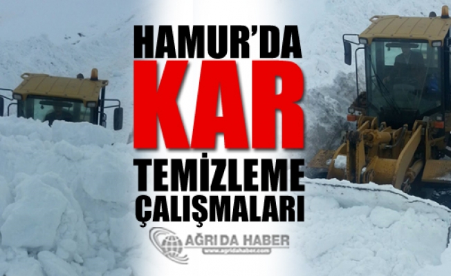 Hamurda 90 Köyde Kar Temizleme Çalışmaları Yürütülüyor!
