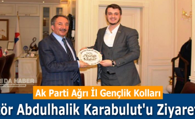 Ak Parti Ağrı İl Gençlik Kolları Rektör Abdulhalik Karabulutu Ziyaret Etti