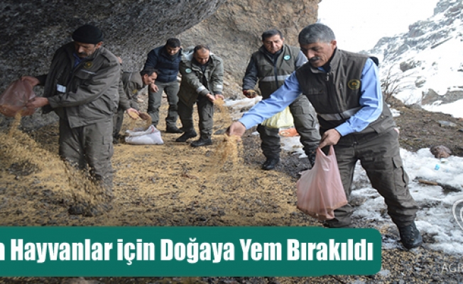 Ağrıda Hayvanlar için Doğaya Yem Bırakıldı