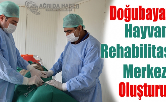 Doğubayazıtta Hayvan Rehabilitasyon Merkezi Oluşturuldu
