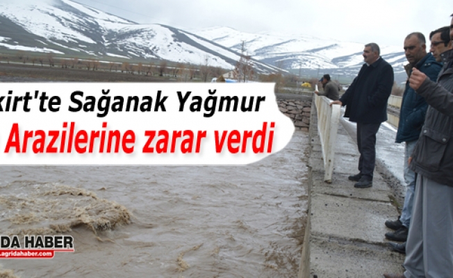 Eleşkirtte Sağanak Yağmur Tarım Arazilerine zarar verdi